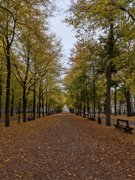 🌿 Reed Boat Joins Local Makers to Celebrate Craft and Calm
