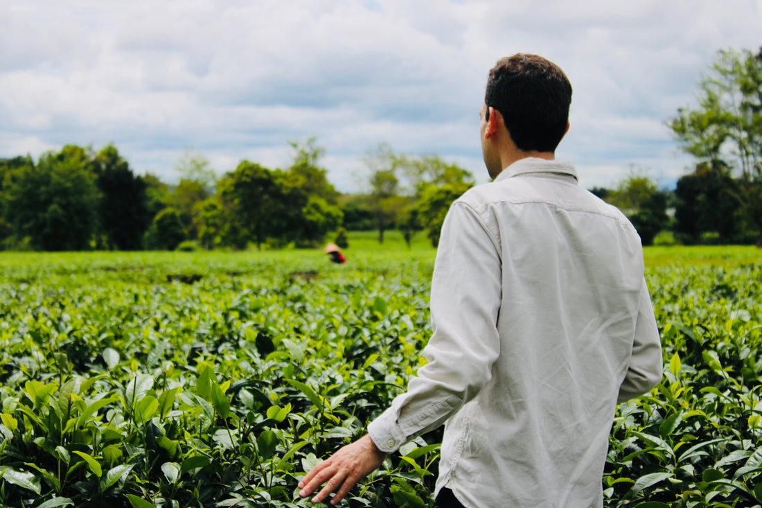 The Gentle Art of Vietnamese Tea: An ancient drink