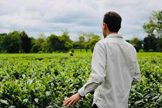 The Gentle Art of Vietnamese Tea: An ancient drink