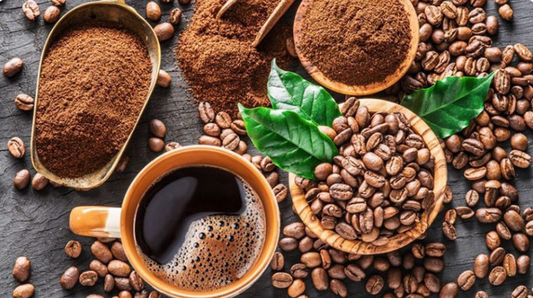 Gia Lai Robusta honey coffee